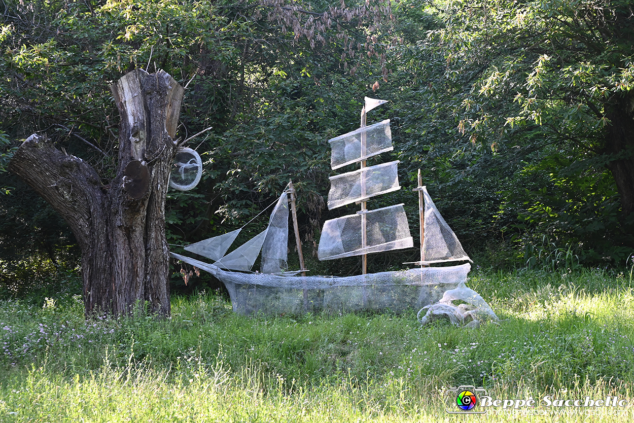 VBS_4819 - Il bosco fatato - Montaldo Roero.jpg